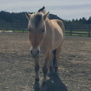 Meet your Posher, Maddie